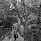 城の崎にて