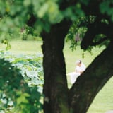 静かな夏の一日