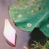 梅雨明け