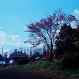 キラリ