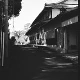 陽光