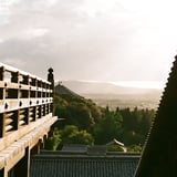 初めてのフィルム
