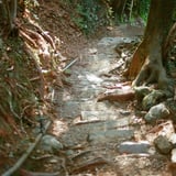 熊野古道