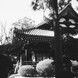 昼下がりの久米寺