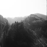 光