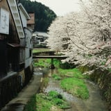 春の酒蔵
