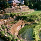 山村
