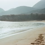 日本海