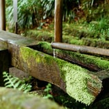 迫ン太郎