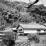 街道
