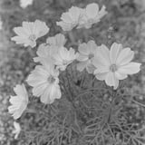愛を込めて花束を
