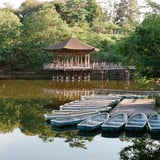 早朝、奈良公園