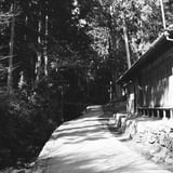 山道