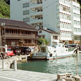 ライジン