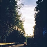 差し込む夕陽