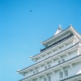 とんびと月と、鯱鉾と。