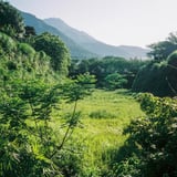 お城の堀