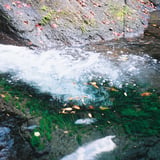 水中