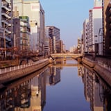 a scenery 