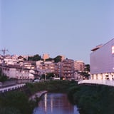 a scenery 