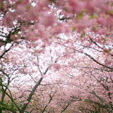 filmで綴る:早春の旅
