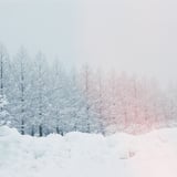 filmで綴る:大寒❄️.*˚