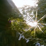 filmで綴る:コノネガイ…カナエタマヘ∗*ﾟ