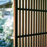 filmで綴る:和と新緑𓂃𓂂🍃