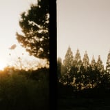 filmで綴る:黄昏*°