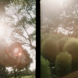 filmで綴る:晩夏の風景