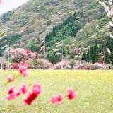 春の阿智村‪✿
