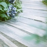 filmで綴る:小さな紫陽花ꕤ୭*