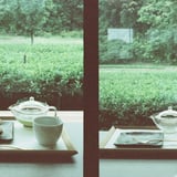 filmで綴る:いただきます…ごちそうさまでした🍵🌱