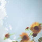 Reach for the sky ☆彡