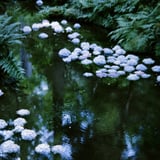 filmで綴る:波紋とreflection*°