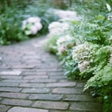 filmで綴る:紫陽花のある小道ꕤ୭*
