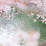 filmで綴る:水面の波紋