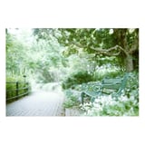 filmで綴る : 初夏の公園🌿.∘