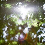 filmで綴る:まばゆいヒカリ