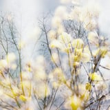 filmで綴る:季節は春に…❁⃘*.ﾟ