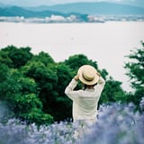 アガパンサスの丘より