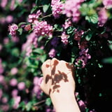 花になる