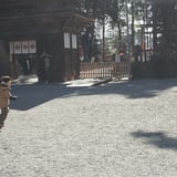 御上神社