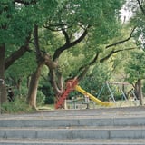 公園