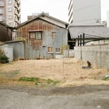 松本