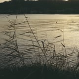 琵琶湖