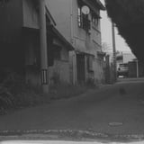 福岡 ねこ