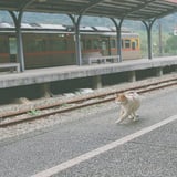 十分