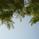 バンコク