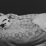 ねこ